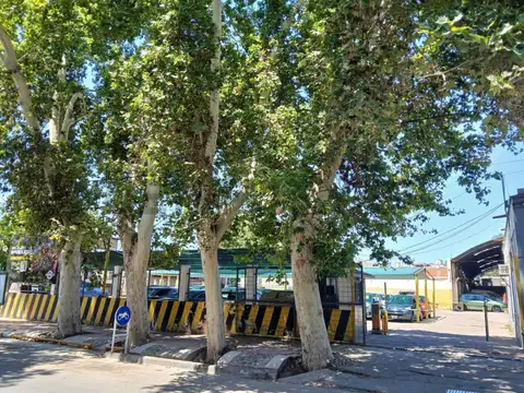 Belgrano 1800, Piso 1
