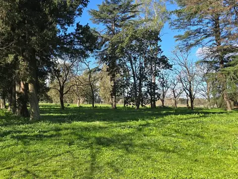 Colectora -autopista Ez. Cañuelas