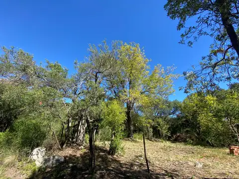 Terreno en Venta 44  mts Frente