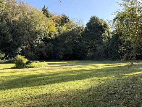Terreno en Venta 41  mts Fondo