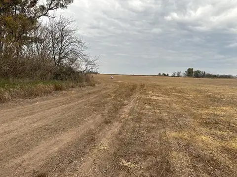 CAMPO de 27,2 hectareas en La Luisa - cerca Capital Sarmiento y Arrecifes