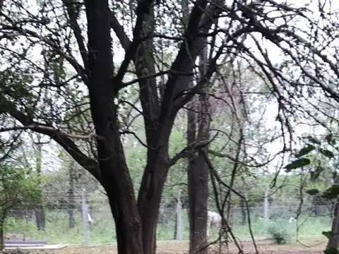 Terreno en Venta en Cuatro Hojas, USD 150.000