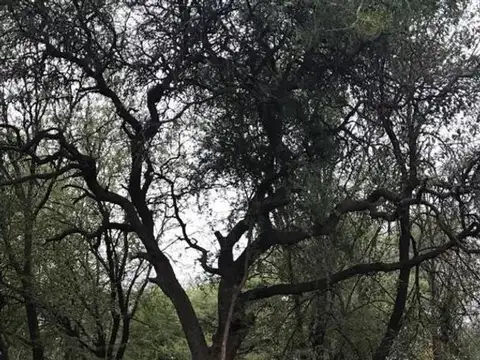 Terreno en Venta en Cuatro Hojas, USD 150.000