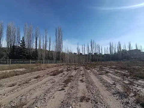 Terreno en Venta en Vistalba, USD 350.000