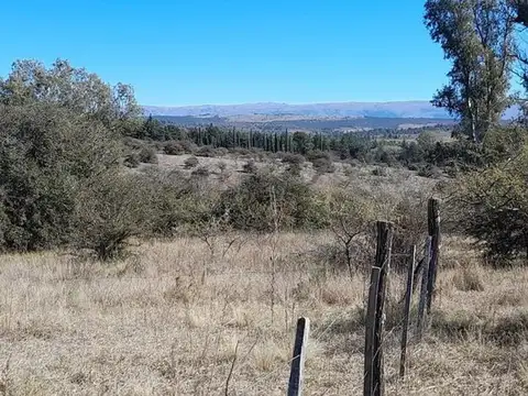 Consultar dirección