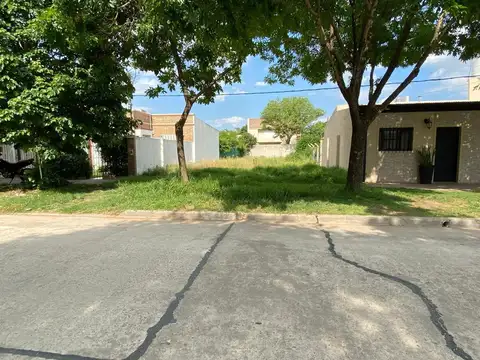 Saavedra entre Grierson y Marchini