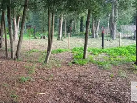 Terreno en Venta de 517,0 m2