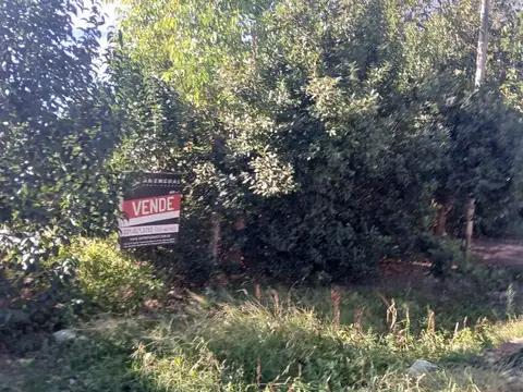 Terreno en Venta sobre calle 91 e/ 6 y 7. La PLata-1958m2