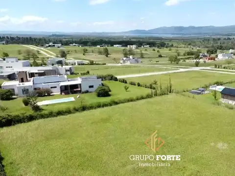 Lote 21