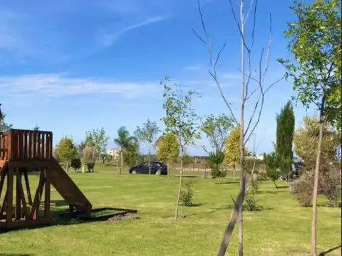 Campos De La Enriqueta