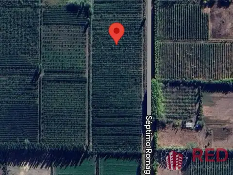 Venta en exclusiva,  chacra en producción