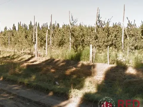 Venta en exclusiva,  chacra en producción