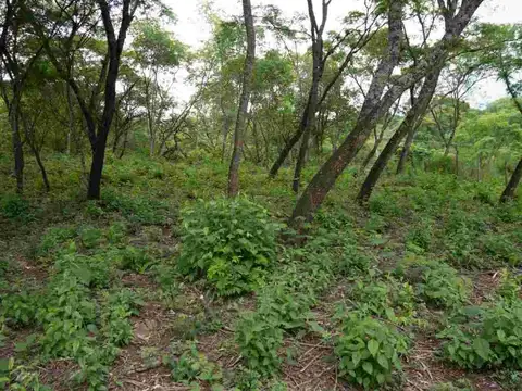 Terreno en Venta en Caldera, USD 16.700