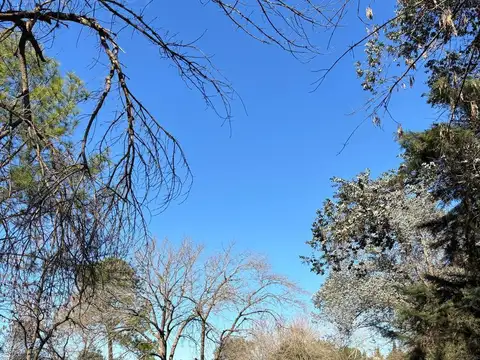 Terreno en Venta 20  mts Fondo