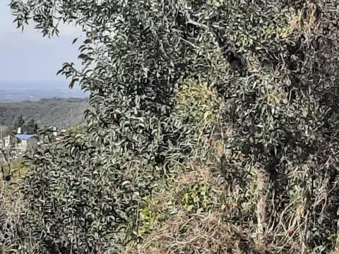 Terreno en Venta de 503,0 m2