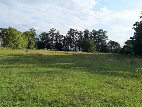 Campo en Ituzaingó - Venta