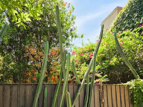 Casa en Alquiler en Horqueta, USD 950