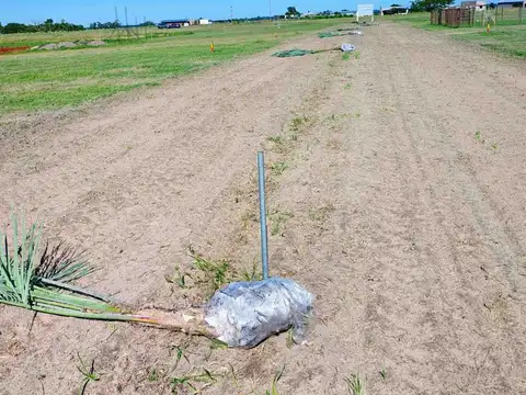 Ruta Nacional 12 700