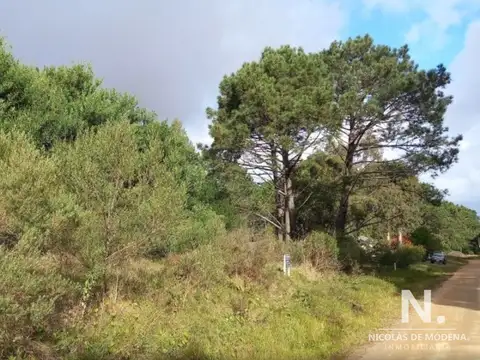 Terreno en Venta de 1669,0 m2