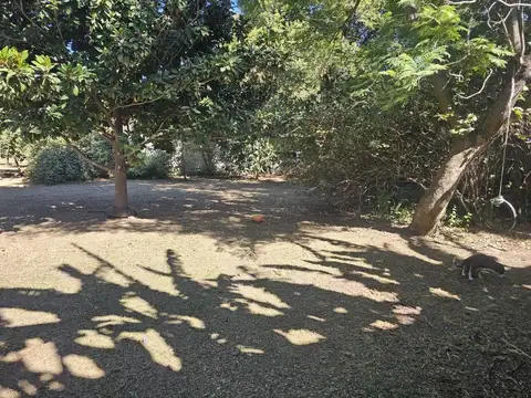 Benavente e/ Wast y Rojas 100