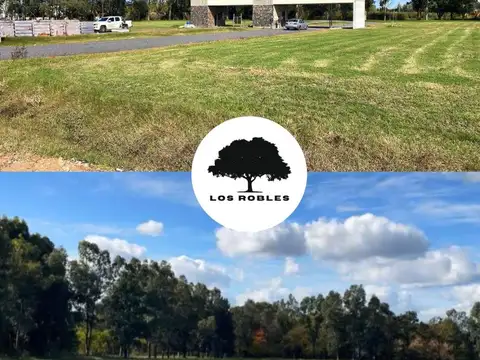 LOTE VENTA BARRIO PRIVADO LOS ROBLES CAÑUELAS