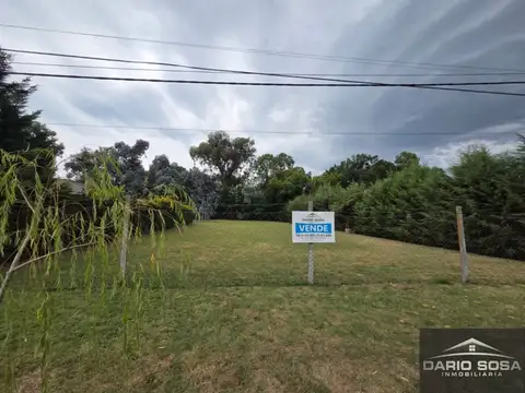 Azucenas N° 2969  bele