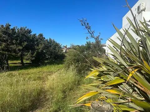 Terreno en Venta 37  mts Fondo