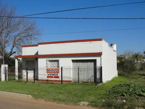 Paso de los Andes al 1200