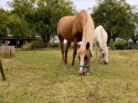 Chacra con Casa y Laguna en Lomas de Río Luján, Cardales