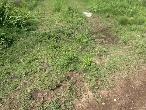 Camino Rural Campo Soso