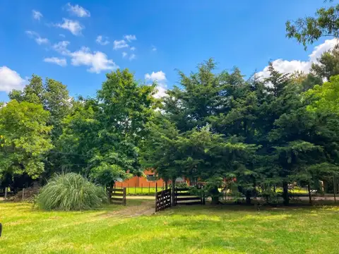 Quinta en Venta en Chacras De Martin Fierro, USD 144.500