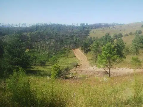 Campo en Venta con Alambrado