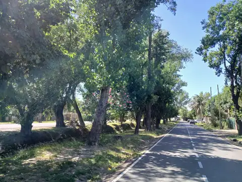 Terreno en Venta en De Vicenzo Grande, USD 45.000