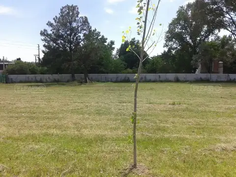 Terreno en Venta de 701,0 m2