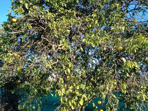 Casa en Venta 70 años