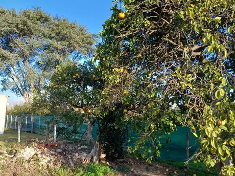 Casa de 2 habitaciones en lote de 1000 m2. Pueblo Doyle, San Pedro. Oportunidad!