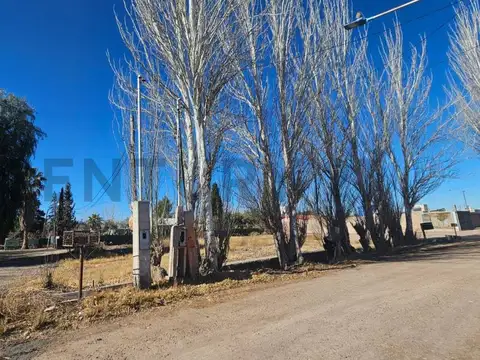 Callejon Menacho , Piso 0