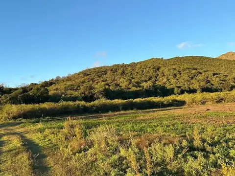 HUERTA GRANDE CAMINO ALTOS DE SAN PEDRO 200