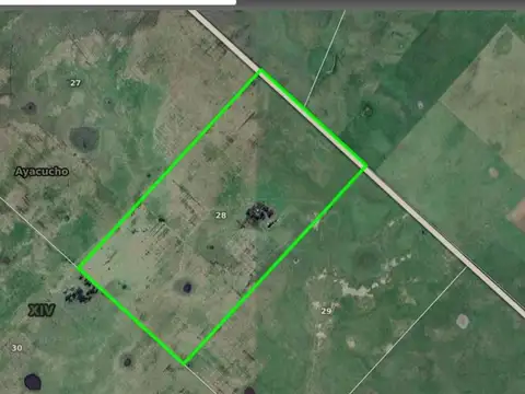 SE VENDE CAMPO   113 HECTAREAS ..AYACUCHO