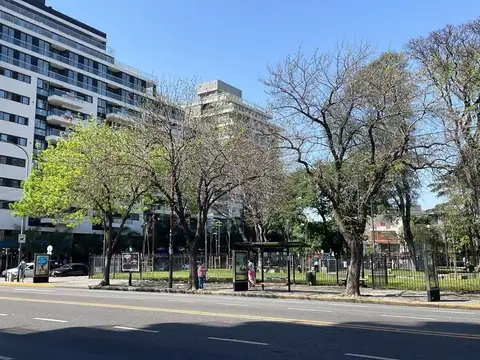 Local en Alquiler 35 años