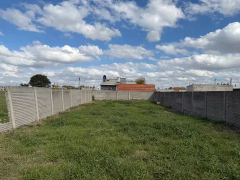 Mazzi David 400