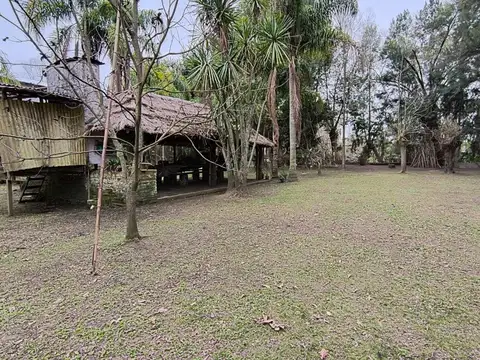 Rio o Arroyo Carapachay Cronopios 100