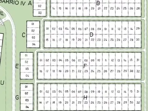 LOS PASOS DEL PUENTE 100