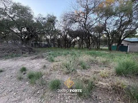 20 De Junio