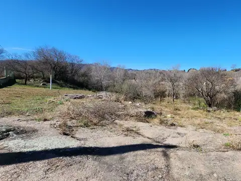 Orcopalo 100