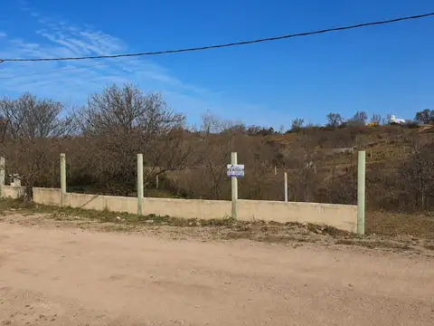 Orcopalo 100