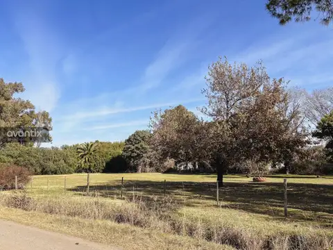 Terreno en Venta en Susana, USD 45.000