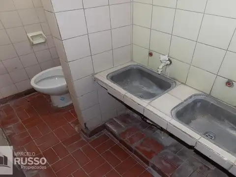 Maestra Piovano 1000