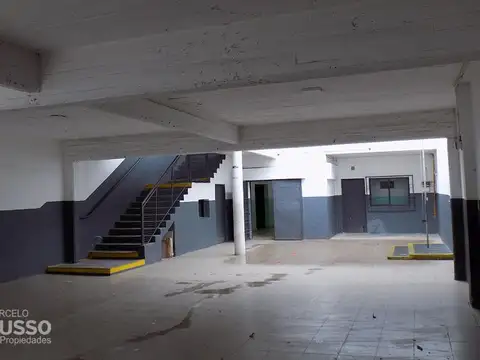 Maestra Piovano 1000