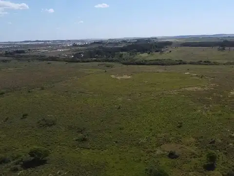 Imperdibles Hc En Nemesio Parma